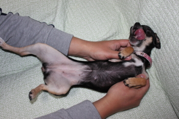 f:id:fine-beauty:20100106201336j:image