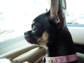 f:id:fine-beauty:20100108085405j:image