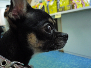 f:id:fine-beauty:20100108090438j:image f:id:fine-beauty:20100108090438j:image