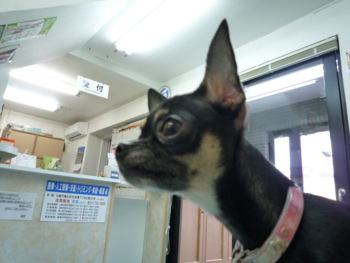 f:id:fine-beauty:20100108090712j:image f:id:fine-beauty:20100108090712j:image
