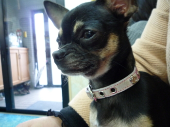 f:id:fine-beauty:20100108092923j:image f:id:fine-beauty:20100108092923j:image