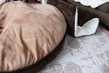 f:id:fine-beauty:20100124135751j:image f:id:fine-beauty:20100124135751j:image