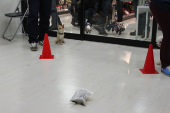 f:id:fine-beauty:20100131150633j:image f:id:fine-beauty:20100131150633j:image