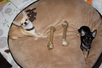 f:id:fine-beauty:20100131195652j:image