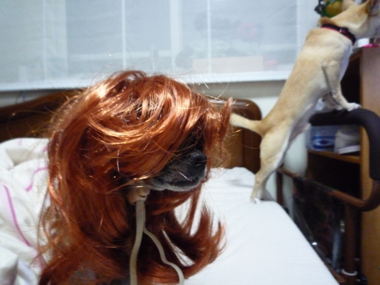 f:id:fine-beauty:20100929002205j:image f:id:fine-beauty:20100929002205j:image
