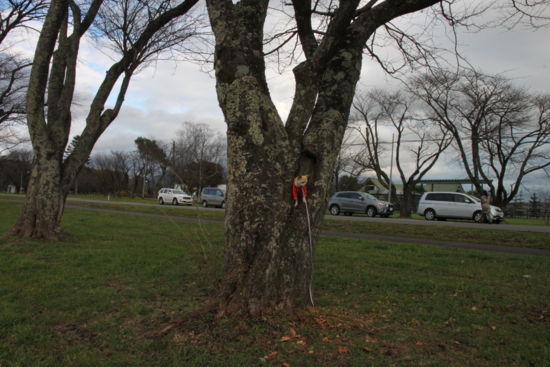 f:id:fine-beauty:20101103234156j:image f:id:fine-beauty:20101103234156j:image