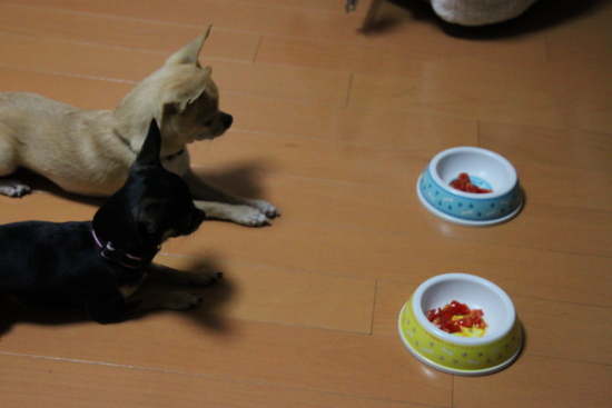 f:id:fine-beauty:20101104231902j:image f:id:fine-beauty:20101104231902j:image