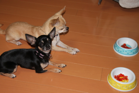f:id:fine-beauty:20101104232057j:image f:id:fine-beauty:20101104232057j:image