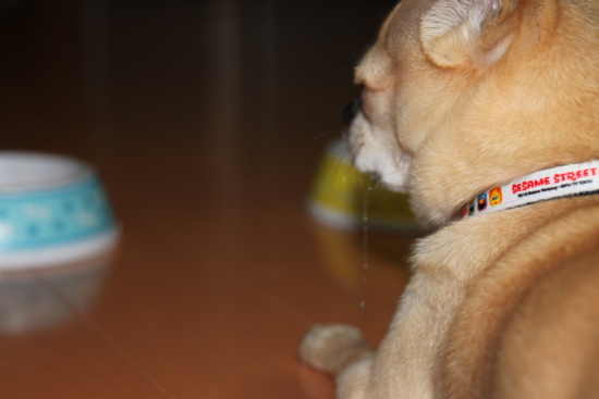f:id:fine-beauty:20101104232512j:image f:id:fine-beauty:20101104232512j:image