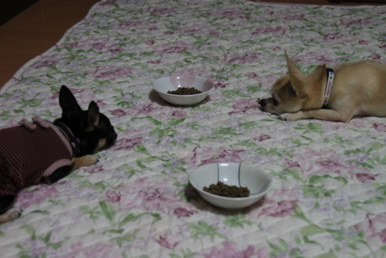 f:id:fine-beauty:20101117214849j:image