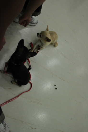 f:id:fine-beauty:20110703221754j:image f:id:fine-beauty:20110703221754j:image