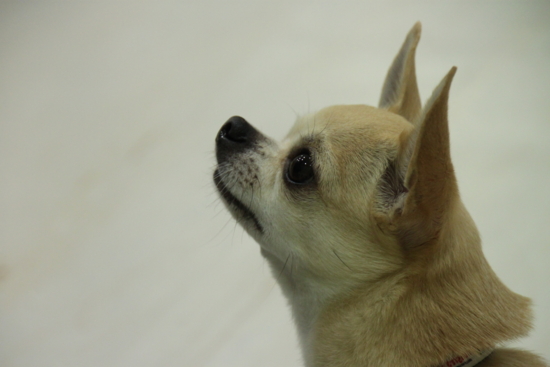 f:id:fine-beauty:20110703221812j:image f:id:fine-beauty:20110703221812j:image