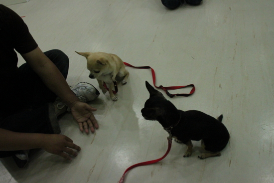 f:id:fine-beauty:20110703221830j:image f:id:fine-beauty:20110703221830j:image