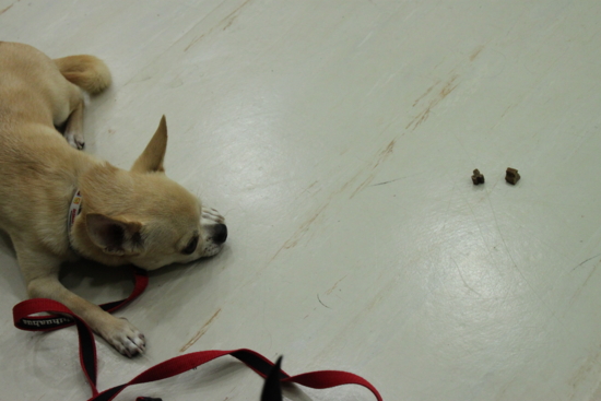 f:id:fine-beauty:20110703221849j:image f:id:fine-beauty:20110703221849j:image