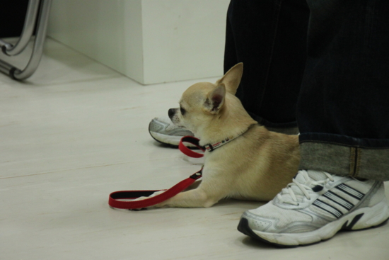 f:id:fine-beauty:20110703221908j:image f:id:fine-beauty:20110703221908j:image
