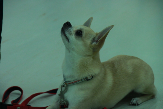 f:id:fine-beauty:20110703221927j:image f:id:fine-beauty:20110703221927j:image