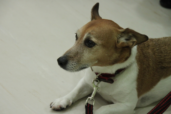 f:id:fine-beauty:20110703221945j:image f:id:fine-beauty:20110703221945j:image