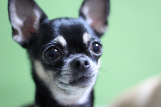 f:id:fine-beauty:20111231002623j:image