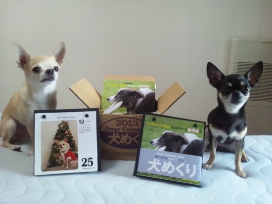 f:id:fine-beauty:20130428213513j:image:w360