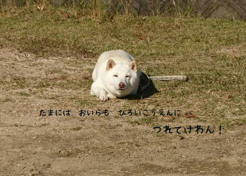 f:id:finebox:20171026091746j:plain