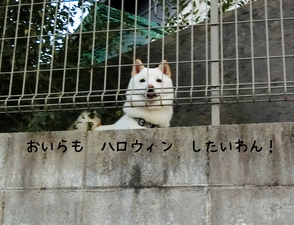 f:id:finebox:20171102102429j:plain