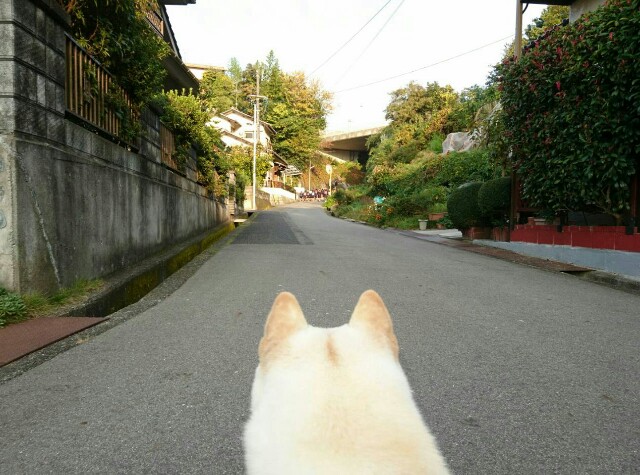 f:id:finebox:20171117133623j:plain