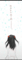 20140722011239
