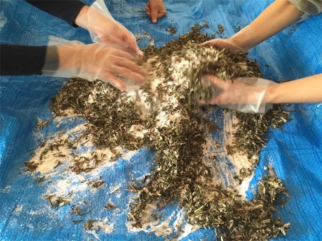 f:id:fineyoga:20170130230803j:image