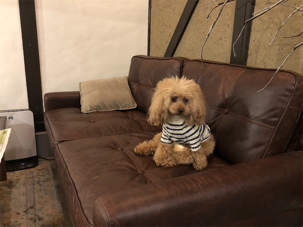 f:id:fineyoga:20190512015201j:image