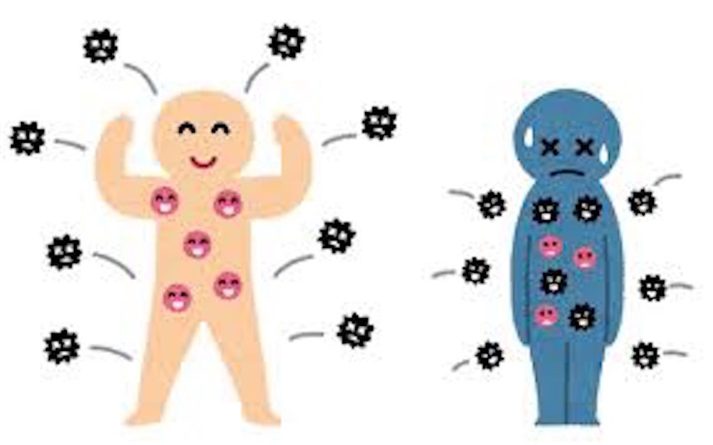 f:id:fineyoga:20200309183045j:image