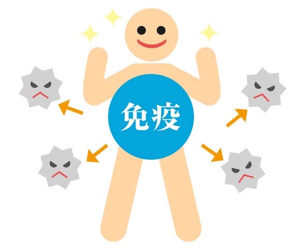f:id:fineyoga:20200309190247j:image f:id:fineyoga:20200309190247j:image