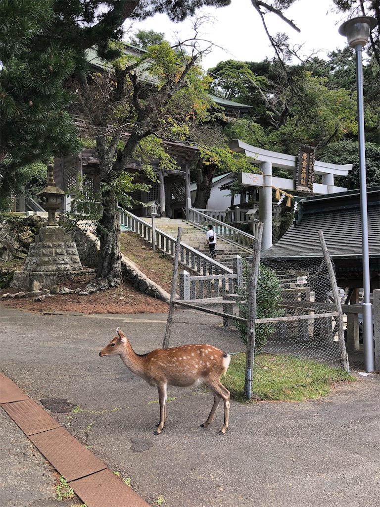 f:id:fineyoga:20200925002052j:image