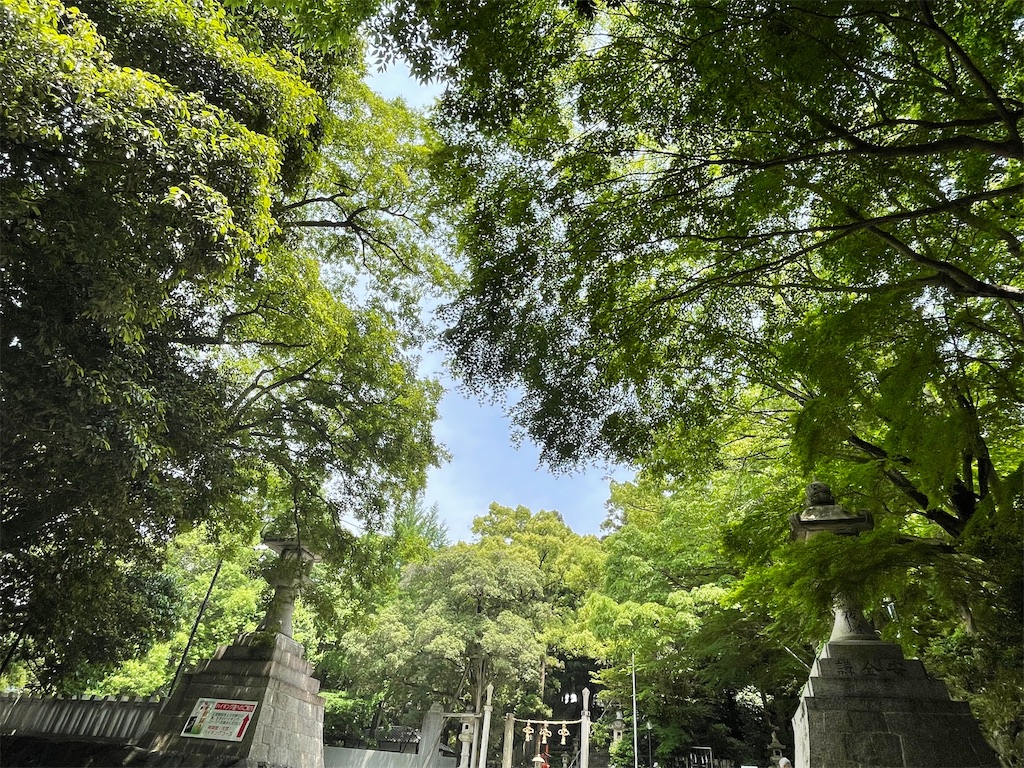 f:id:fineyoga:20220519210755j:image