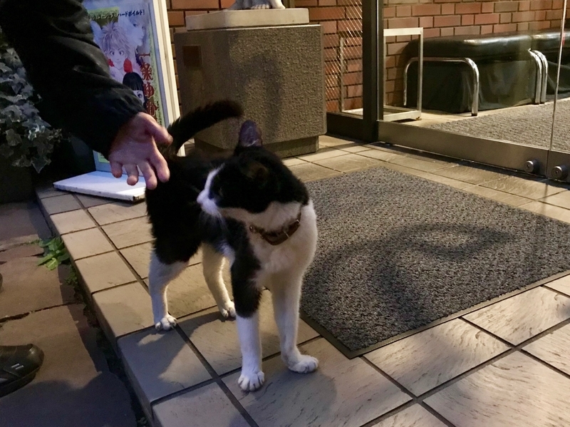 f:id:finir:20181208225915j:plain