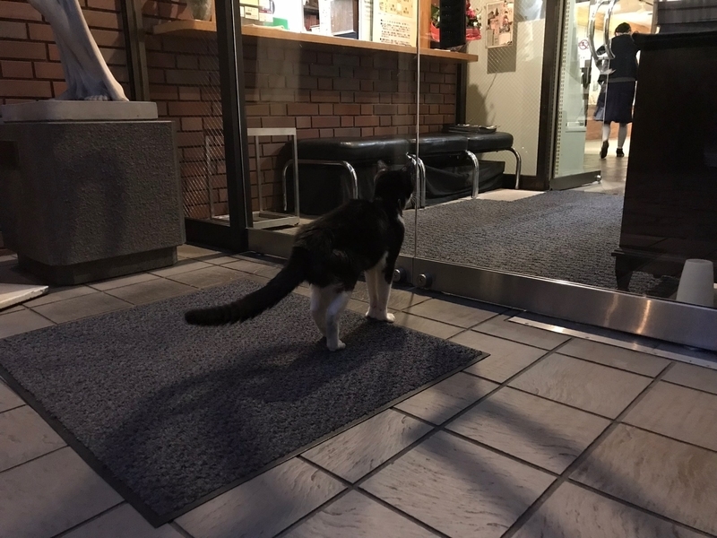 f:id:finir:20181208225919j:plain