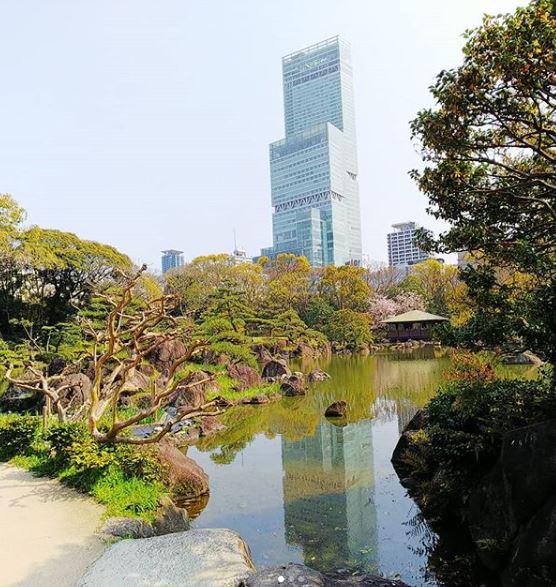 f:id:finitykt:20190422124953j:plain