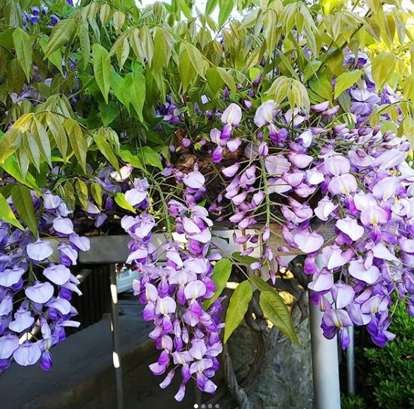f:id:finitykt:20190422130854j:plain