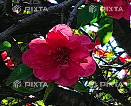 f:id:finitykt:20200810230629j:plain