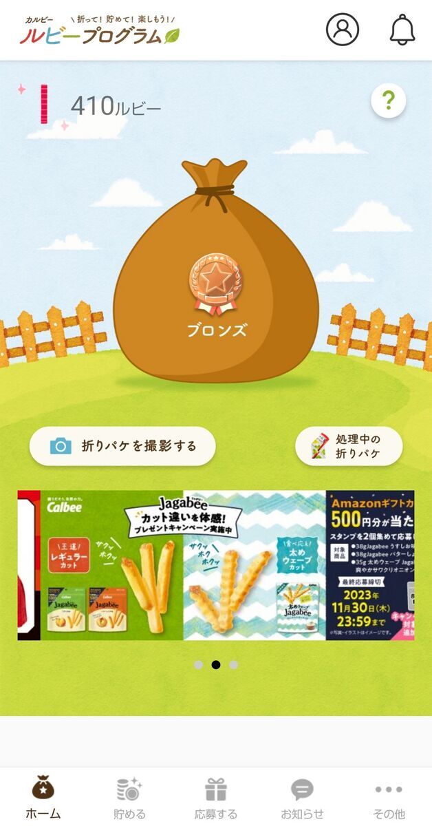 雑記】ルビープログラムで目標達成！ルビーポイントについて紹介
