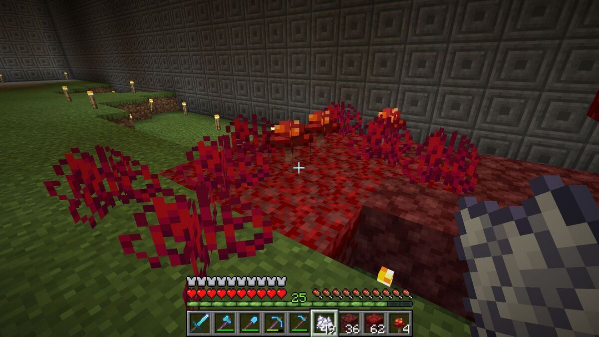 マイクラ】＃32〔冒険＆整備〕真紅の幹と歪んだ幹を育てる - フィン 
