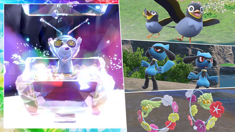 ポケモンSV】コレクレーレイド＆WCS2024記念ポケモン大量発生