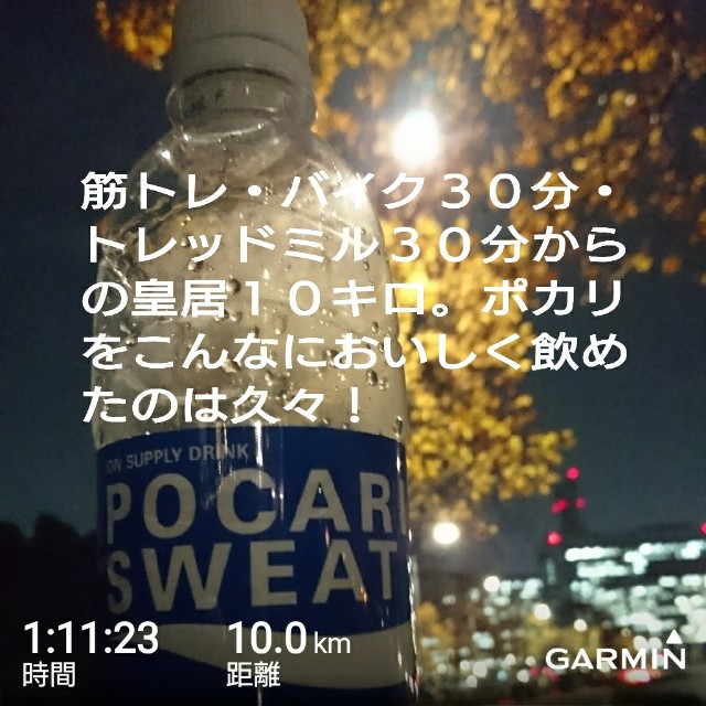 f:id:fiona-to-momonga:20171201131536j:image