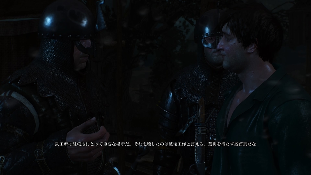 f:id:fioridiciliegio:20181127200326j:plain ウィッチャー3ゲーム画像