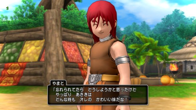 ドラクエ10ゲーム画像