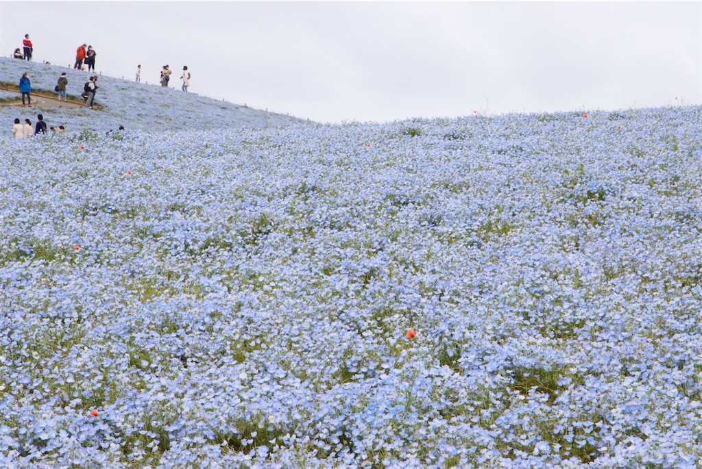 f:id:fire_maeda:20220502001221j:image