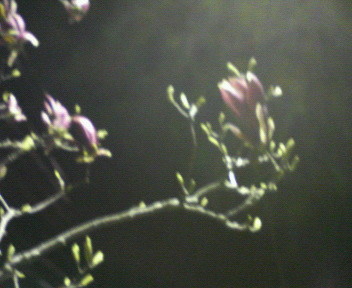 f:id:firesign0916:20060410001203j:image