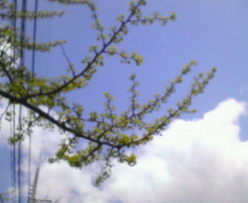 f:id:firesign0916:20060425132244j:image