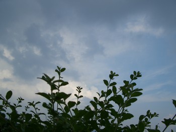 f:id:firesign0916:20060813230915j:image