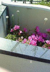 f:id:firesign0916:20070509090342j:image f:id:firesign0916:20070509090342j:image