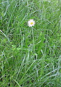 f:id:firesign0916:20070510234604j:image f:id:firesign0916:20070510234604j:image